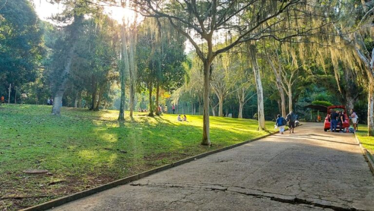 Parques no Rio para ir com crianças: 10 opções na cidade