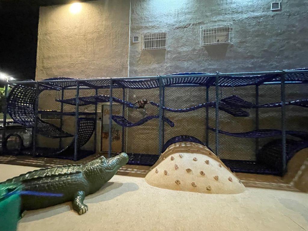 Área Kids - Outback "Casinha"