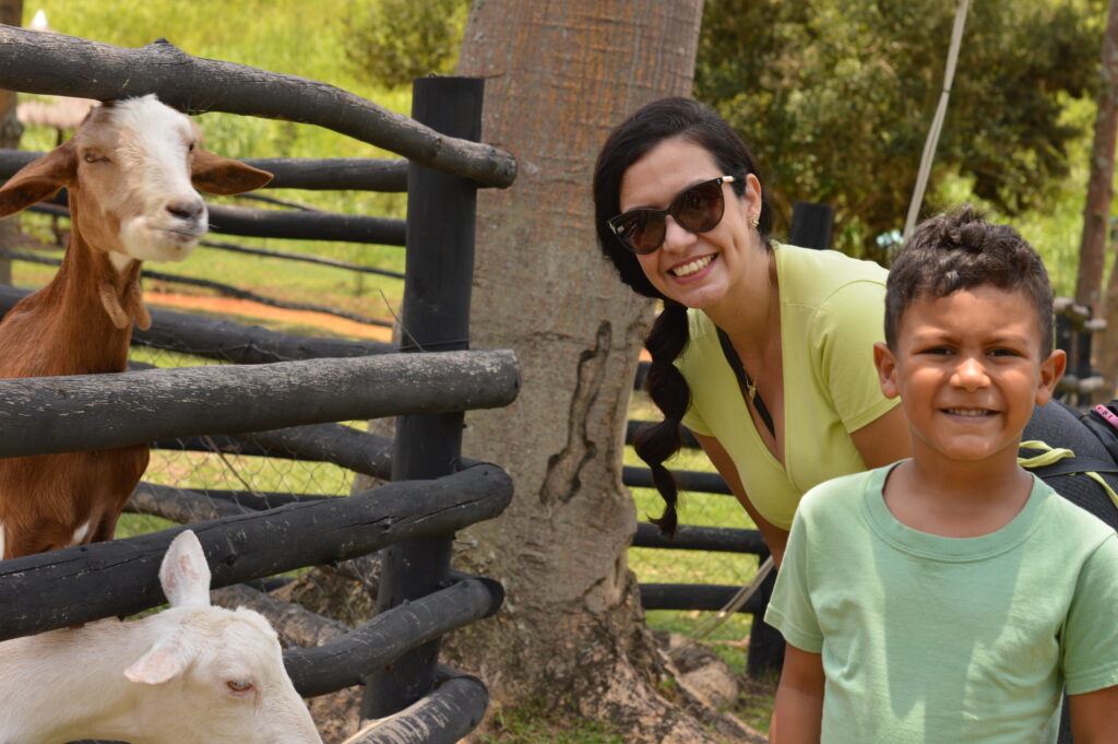 Racho Quindins -Animais da Fazendinha